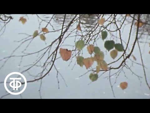 Видео: Осенний этюд (1982)