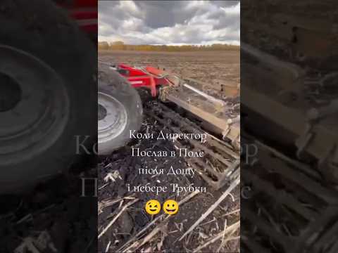 Видео: коли директор послав тебе в поле після дощу і трубки не бере #шортс #смішне #гумор #коміки