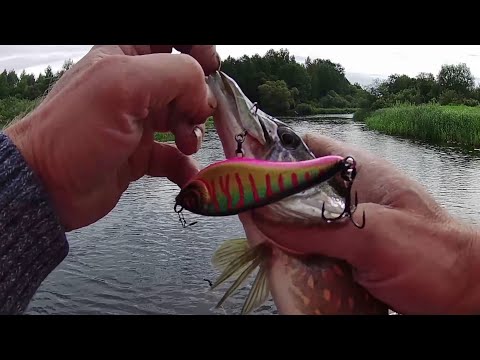 Видео: Спиннинг на Березине. Щука на воблеры. Рыбалка в Беларуси.