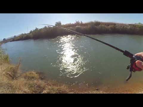 Видео: Мультипликатор который смог Рыбалка Ставрополь Егорлык