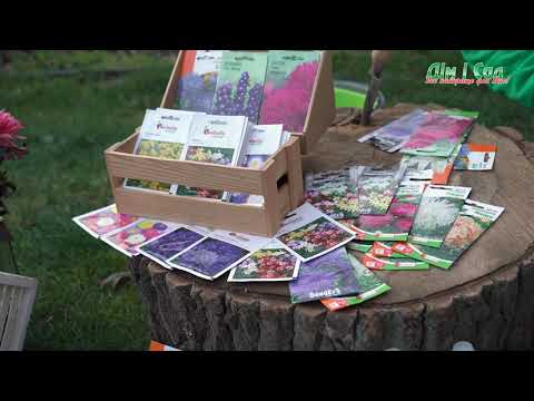 Видео: Підзимовий посів квітів. Які квіти висадити під зиму?