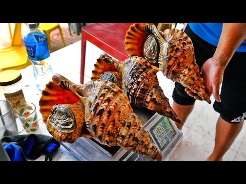Видео: Вьетнамская уличная еда - Гигант Инопланетная Ракушка приготовить двумя способами Муйне Вьетнам