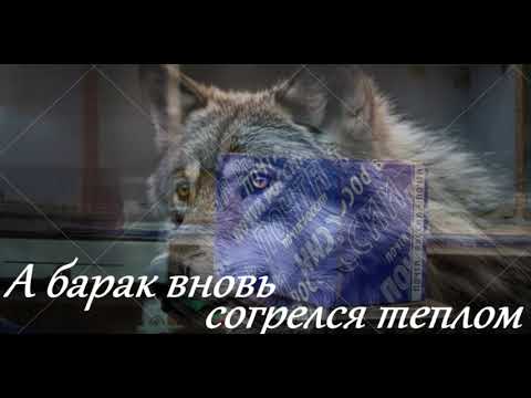 Видео: Garik Garik. А барак вновь согрелся теплом... 