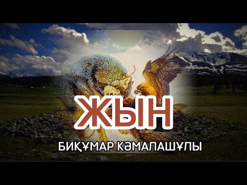Видео: ЖЫН