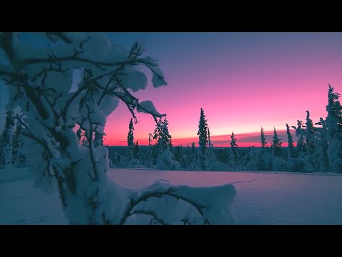 Видео: Очарование северной природы (предновогоднее)