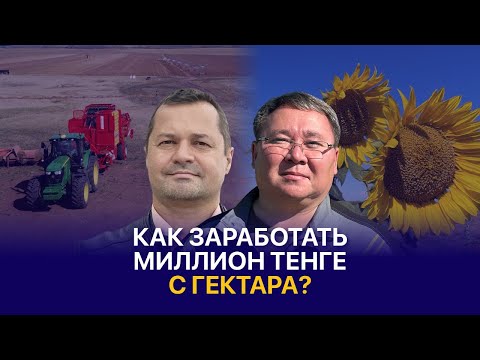 Видео: Лучшие аграрные культуры для заработка в Казахстане — Eurasia Invest LTD