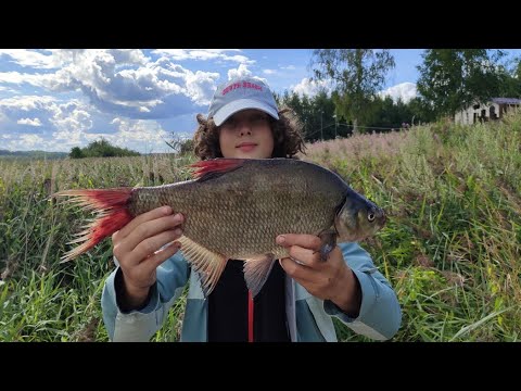 Видео: Вы когда-то такое видели? - Лещ КРАСНОПЕРКА!