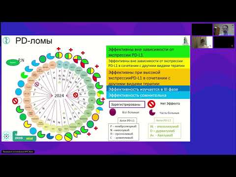 Видео: Иммуноонкология. Иммуноопосредованные НЯ (вебинар 18 февраля 2025)