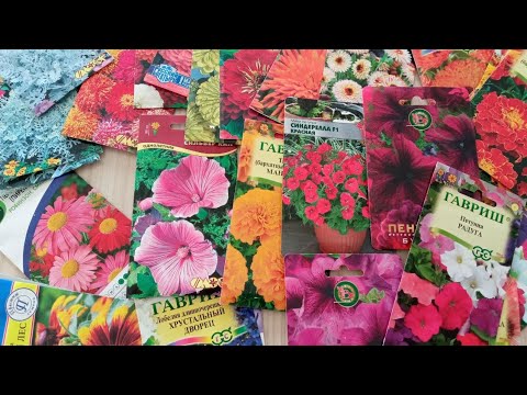 Видео: Семена цветов для моего сада на 2024 год. 19.02.24.