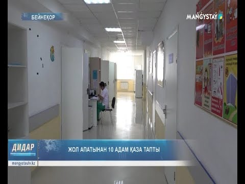 Видео: Жол апатынан 10 адам қаза тапты