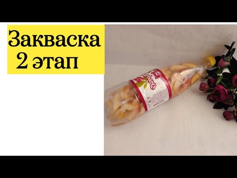 Видео: Закваска жасау.Алма закваскасы.Яблочная закваска.Тегін мастер класс.