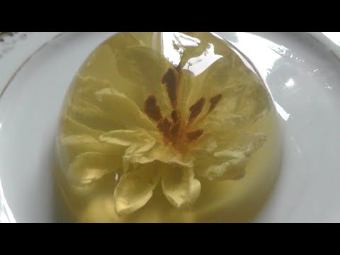 Видео: Делаем цветы в желе - это вкусно и красиво | 3D