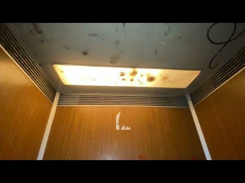 Видео: Лифты МЛЗ 1988 г.в. V=1 м/с