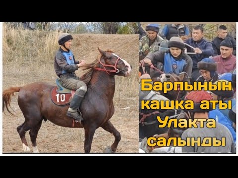 Видео: Барпынын аттары