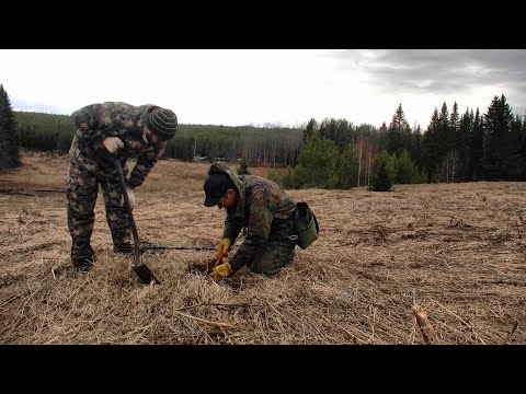Видео: Находки здесь ещё остались... #501