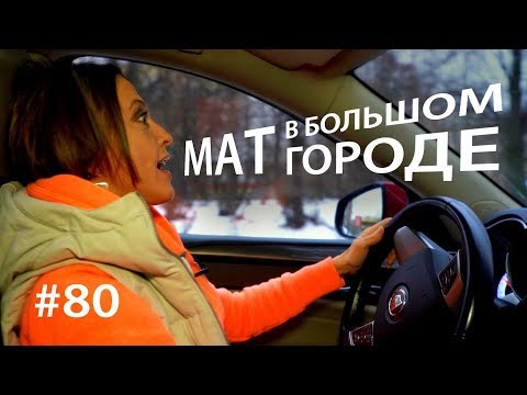 Видео: Мат в большом городе // Всё как у зверей #80