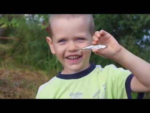 Видео: Мувыр - возрожденная деревня (Игринский район)