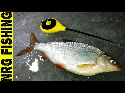 Видео: КАБАНСКАЯ ПЛОТВА!!! Ловля крупной плотвы зимой.