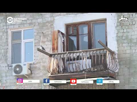 Видео: Күндүзгү ЖАҢЫЛЫКТАР топтому 24.10.2025