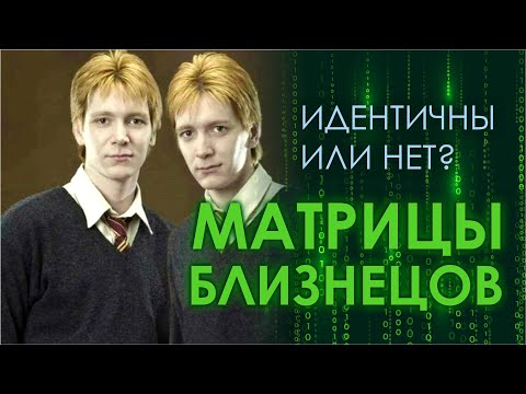 Видео: Матрицы близнецов. Как консультировать? #матрицасудьбы