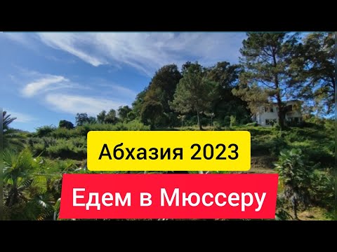 Видео: Мюссера Абхазия. Дача Сталина и Горбачева в Мюссере. Абхазия 2023