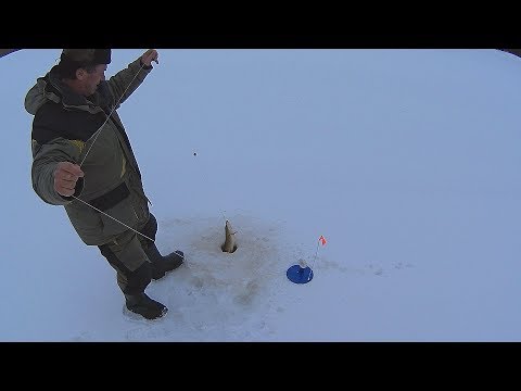 Видео: Рыбалка на жерлицы #2.  Рыбачим два дня.