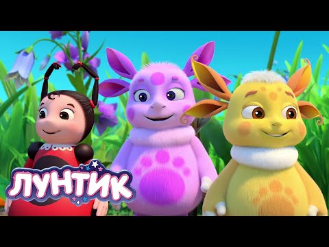 Видео: Лунтик | Танцовщица Мила | 534 серия | Мультики для детей