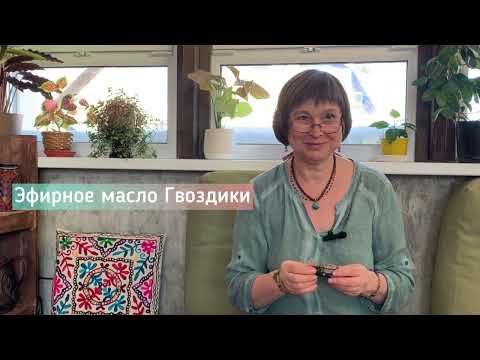Видео: ГВОЗДИКА - эфирное масло АНТИБОЛЬ