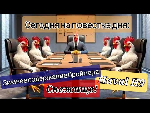 Видео: Зимнее выращивание бройлера. Как не прогореть? Обязательные работы на новом Haval H9