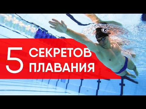 Видео: 5 ВАЖНЫХ НАВЫКОВ В ПЛАВАНИИ (Новые приемы)