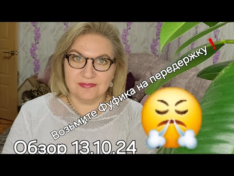 Видео: Обзор.Её ПЁС писался! Изменения в Фуфике