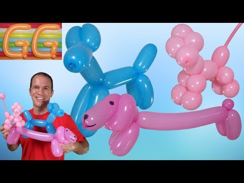 Видео: Собачка из шарика