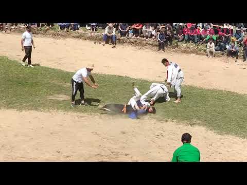 Видео: # гуштини калон дар Дангара д Калкот Шокир полвон