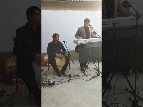 Видео: 2 ноября 2025 г.