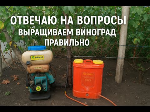 Видео: Рубрика задай вопрос агроному 🍇