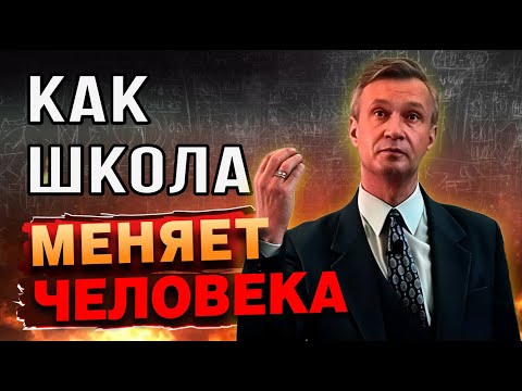 Видео: Зачем ходить в школу? Что это даст?