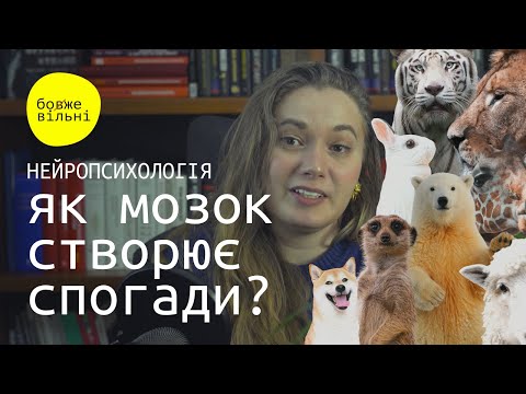 Видео: Як мозок створює та зберігає спогади?
