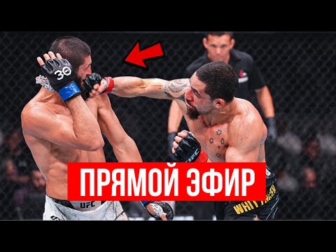 Видео: ПРЯМОЙ ЭФИР UFC 308: БОЙ Хамзат Чимаев VS Уиттакер. Топурия - Холлоуэй