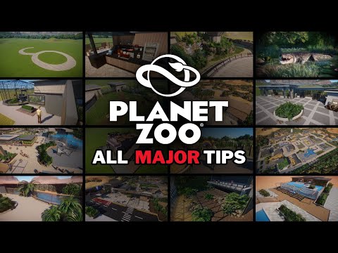Видео: 37 советов, которые нужно знать игрокам Planet Zoo