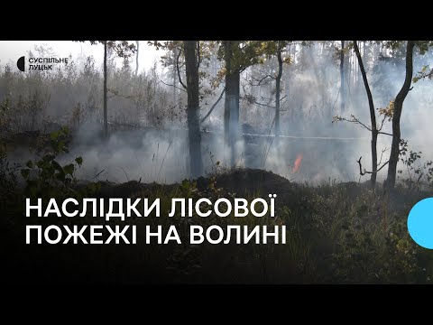 Видео: Наслідки лісової пожежі в Луцькому районі: вогонь гасять третю добу