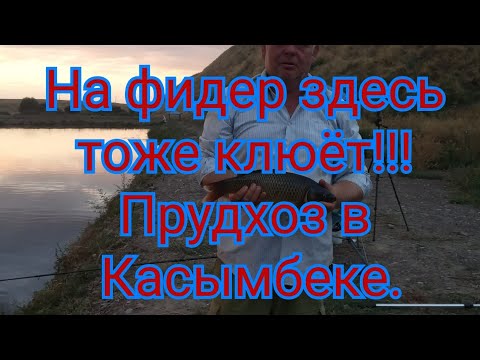 Видео: Рыбалка близ Алматы. На фидер здесь тоже клюёт!!!!