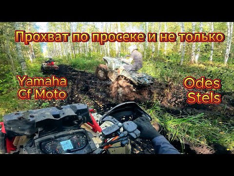 Видео: Небольшой прохват на квадроциклах по просеке и болоту. Odes 1000, Yamaha, Cf Moto, Stels.