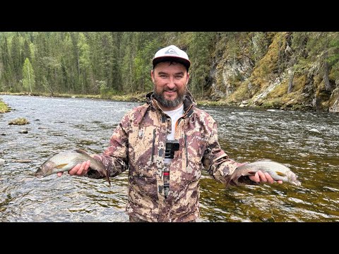 Видео: Ловля хариуса! Нашли крупняк! Рыбалка в Уральских горах!  140 км на лодке Solar 520 Jet strela