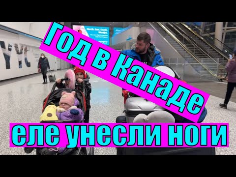 Видео: Год в Канаде. Наш опыт, приключения и возвращение в Польшу