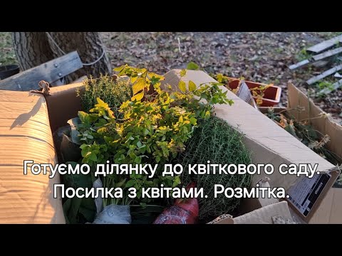 Видео: Дача. Готуємо ділянку до квіткового саду. Посилка з квітами. Розмітка.