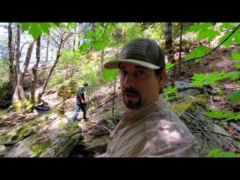 Видео: Самый богатый ручей в Материнской жиле?