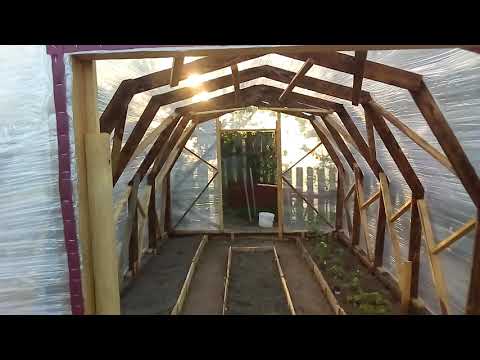 Видео: Парник из стрейч плёнки.