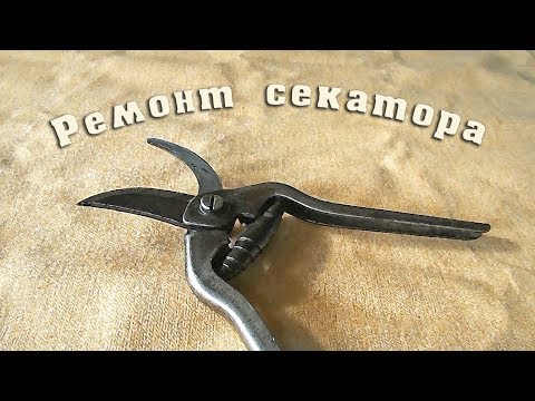 Видео: Ремонт секатора