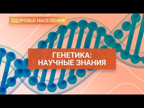 Видео: Генетика: какие факторы влияют на внешность и структуру организма | ГЦМП