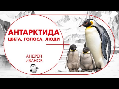 Видео: АНТАРКТИДА. Цвета, голоса, люди. Андрей Иванов